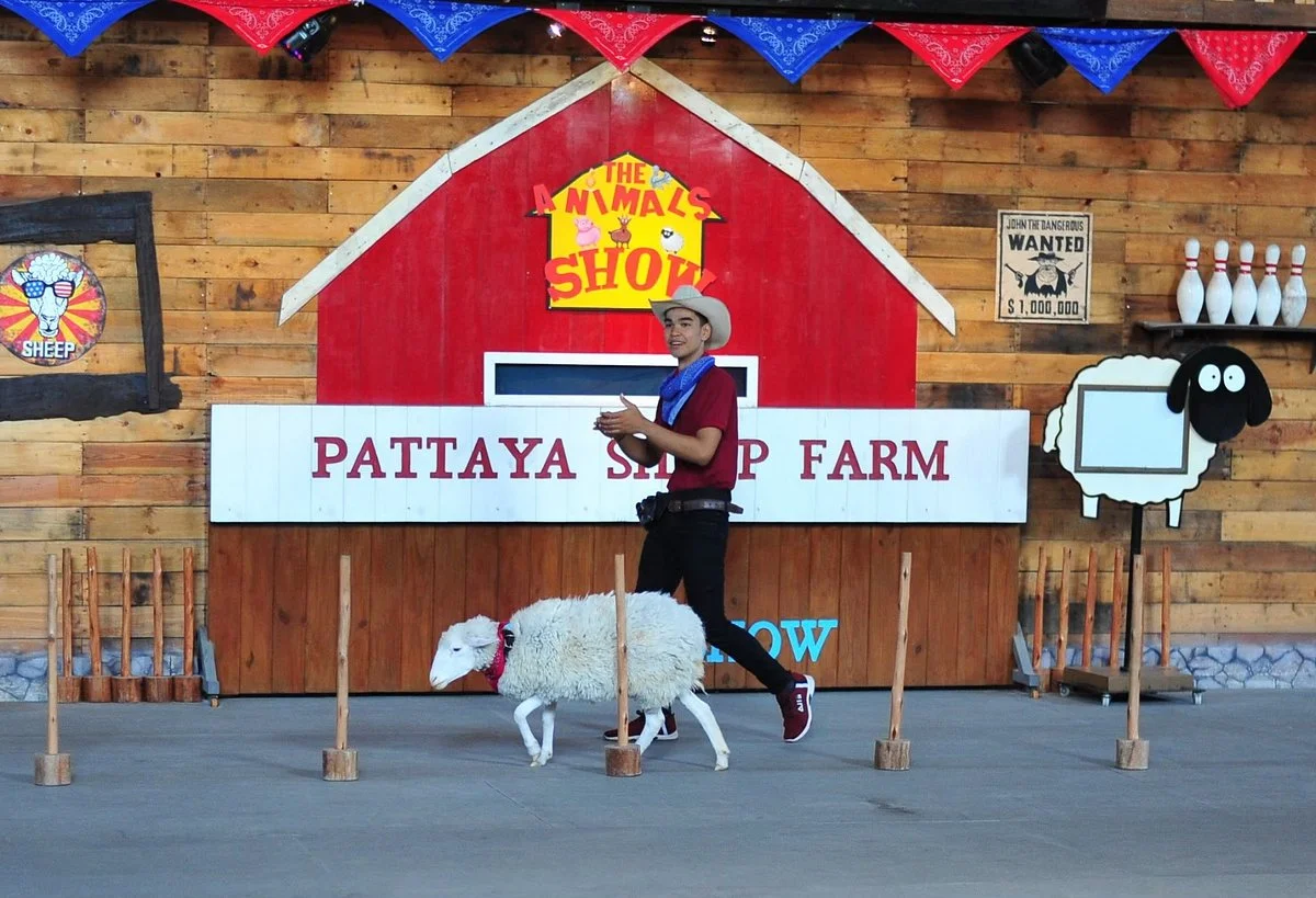 Pattaya Sheep Farm