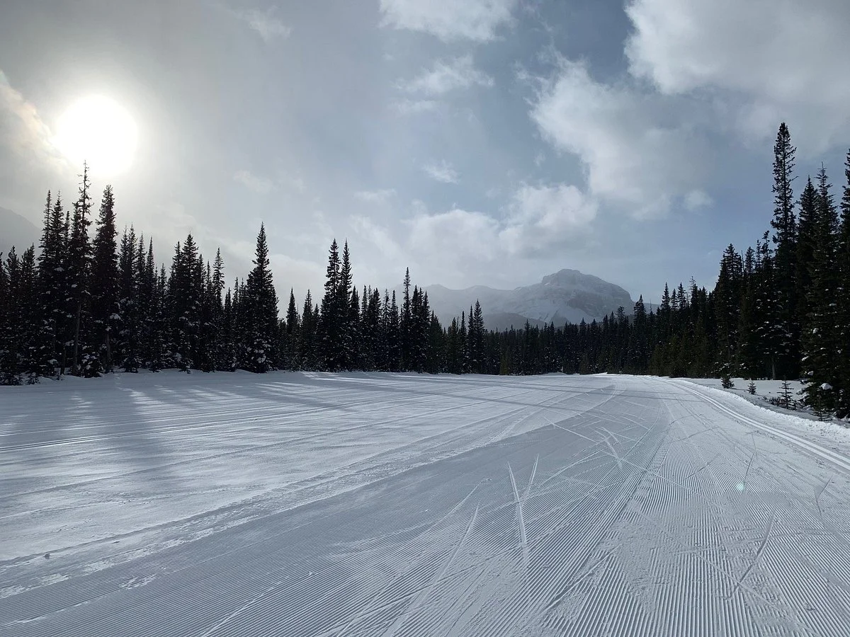 Mount Shark Cross Country Skiing