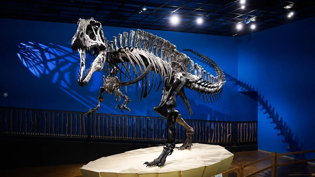 The Museum of the Red River