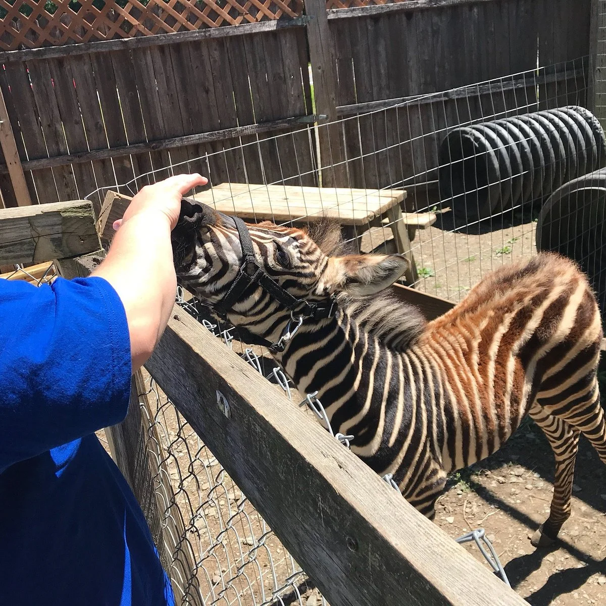 Jungle Experience Zoo