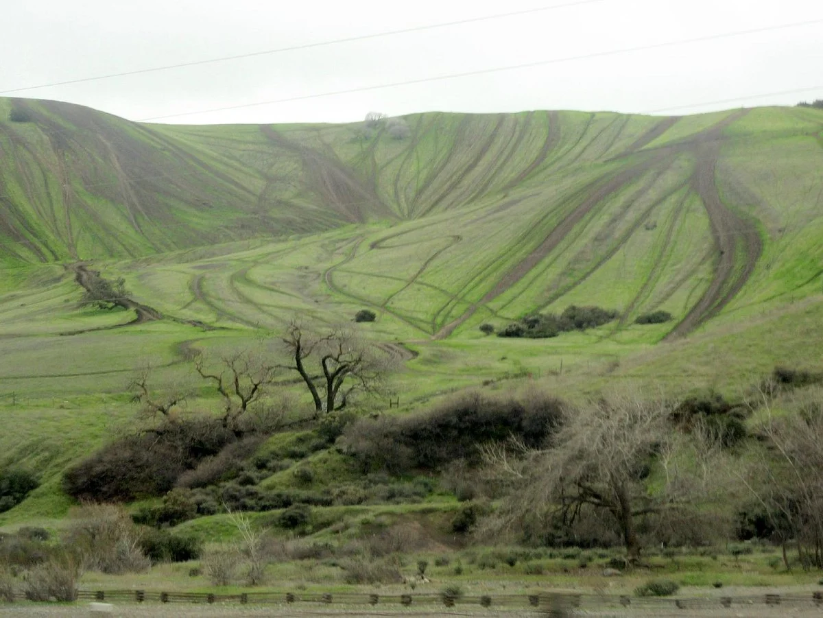 Carnegie State Vehicular Recreation Area