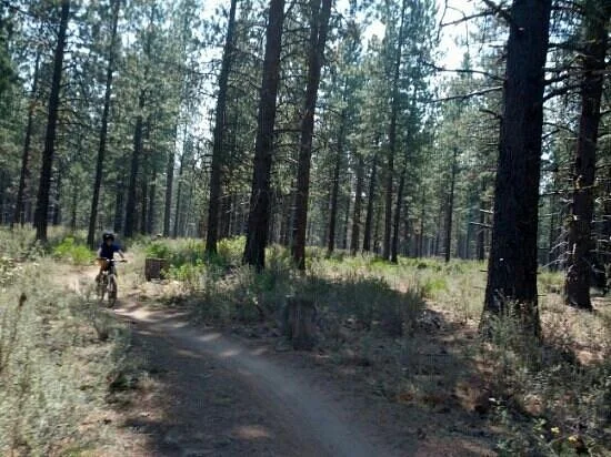Phil's/Jim's Trail
