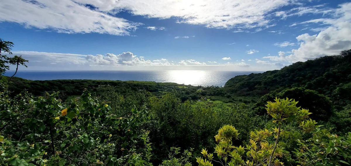 Wailua Valley State Wayside Park