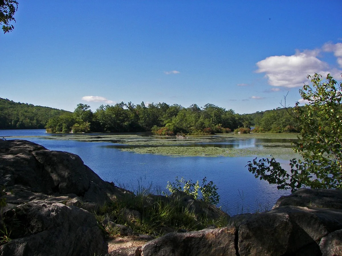 Ramapo Mountain State Forest