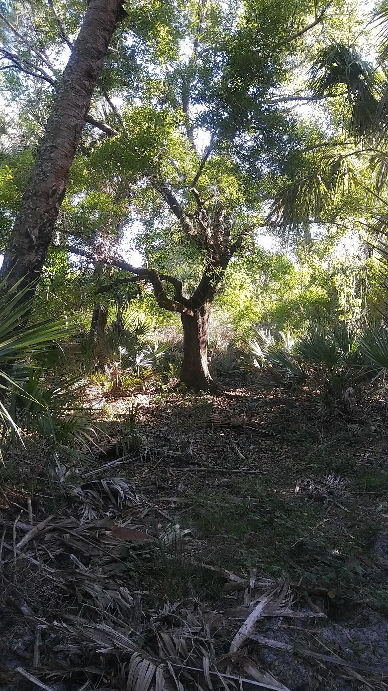 Pinelands Preserve