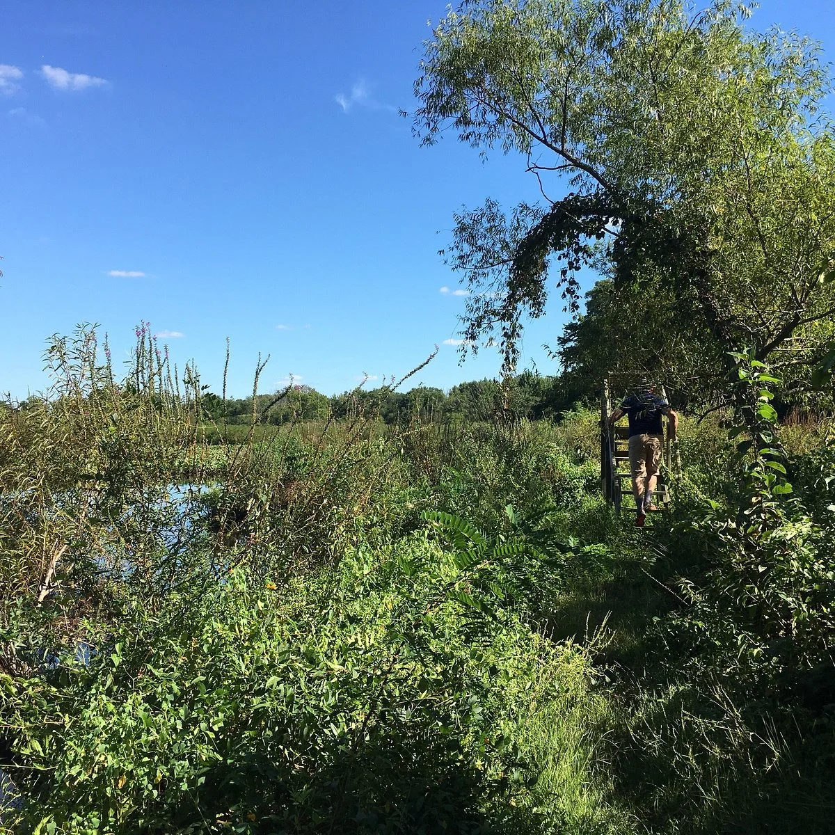 Taylor Wildlife Preserve and Farm