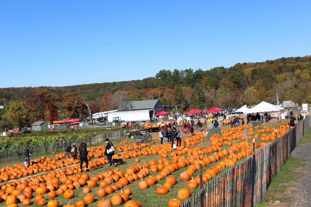 Outhouse Orchards