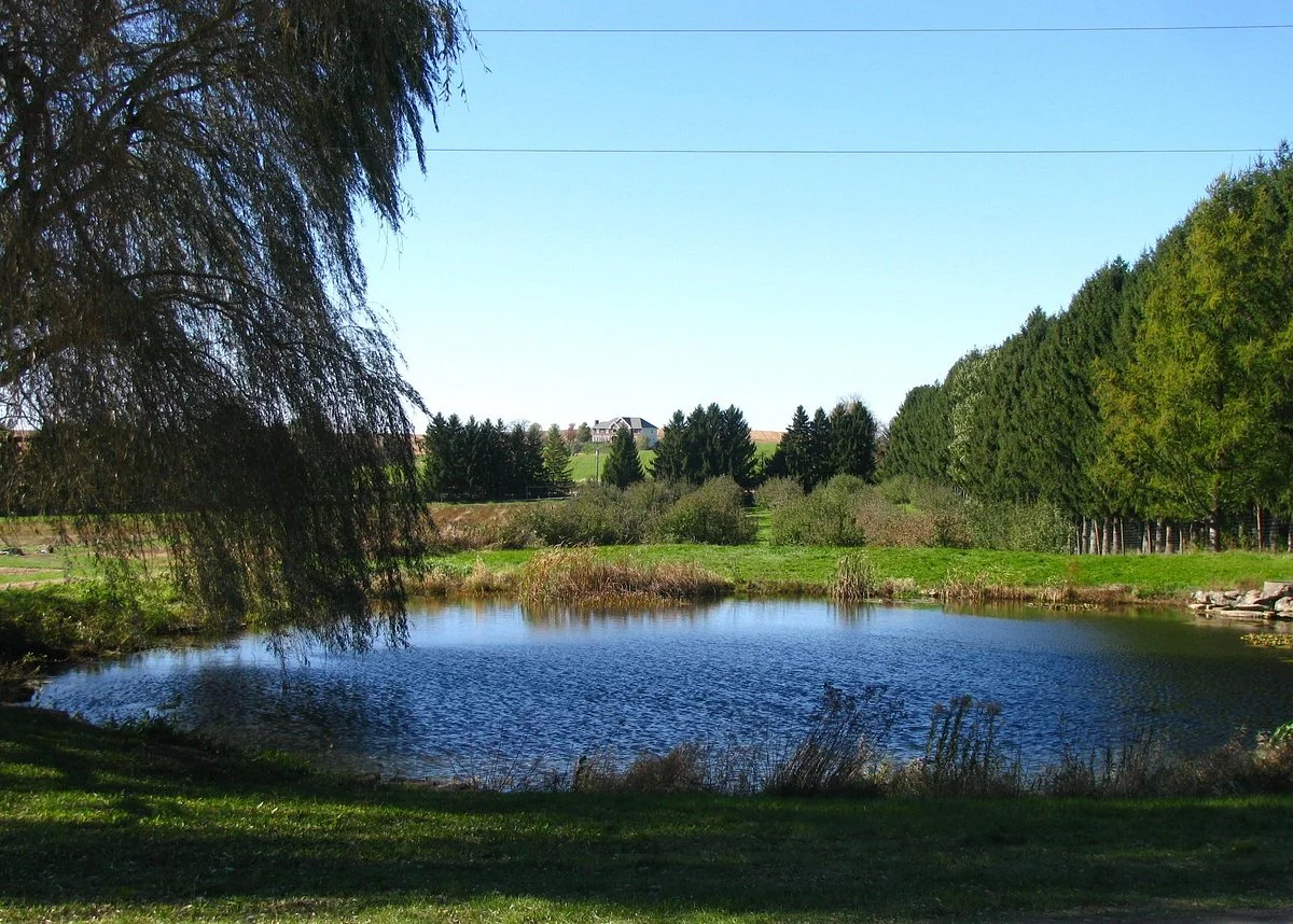 Appleberry Farm