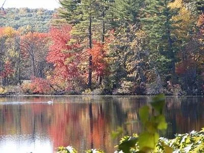 Nashua River Rail Trail