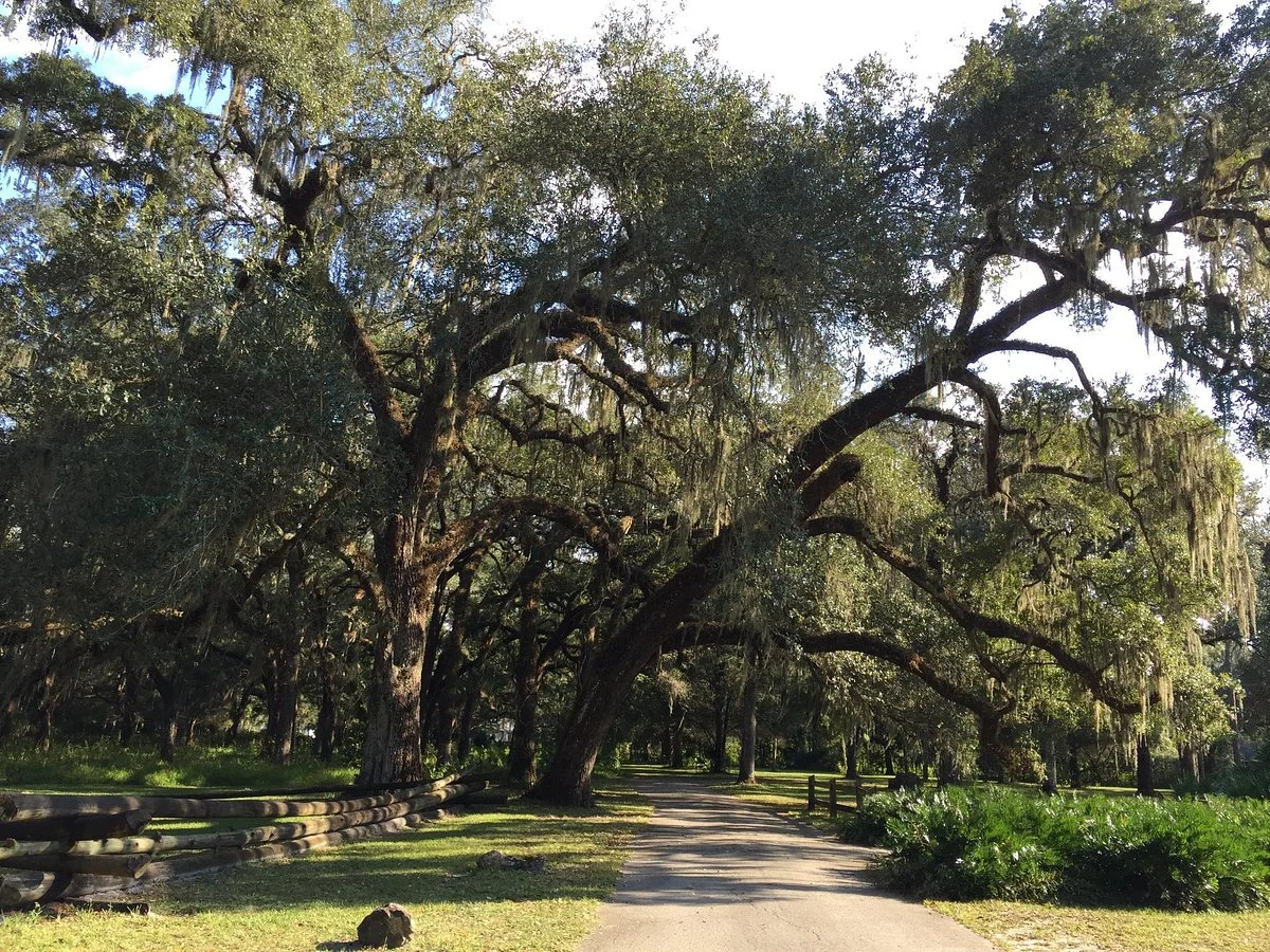 Dade Battlefield Historic State Park