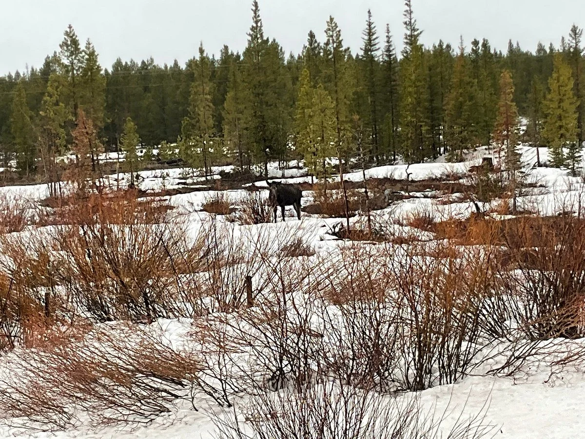 Arapaho National Wildlife Refuge