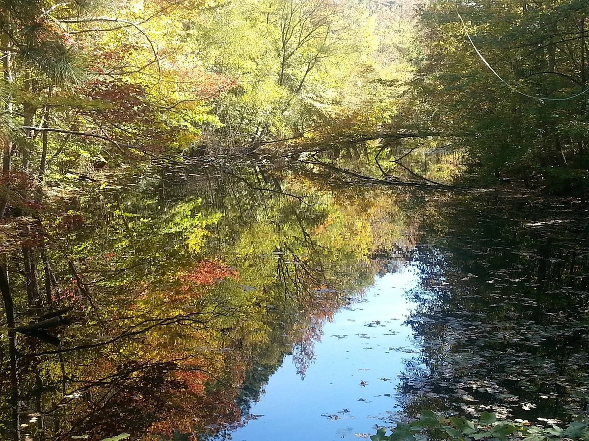 Northwest River Park