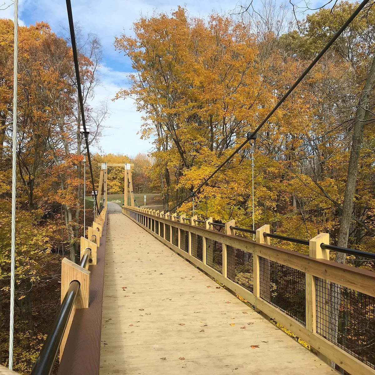 Grand Ravines Dog Park
