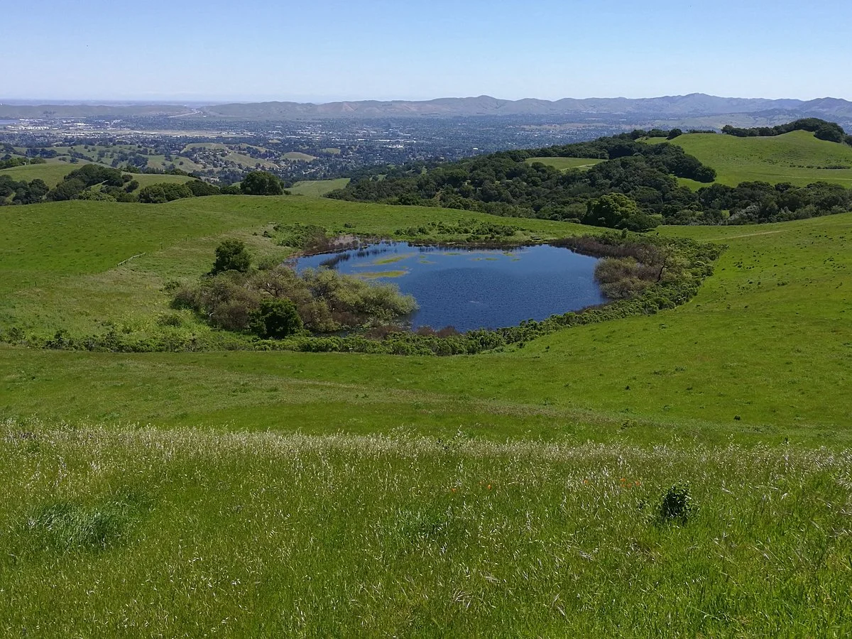 Briones Park