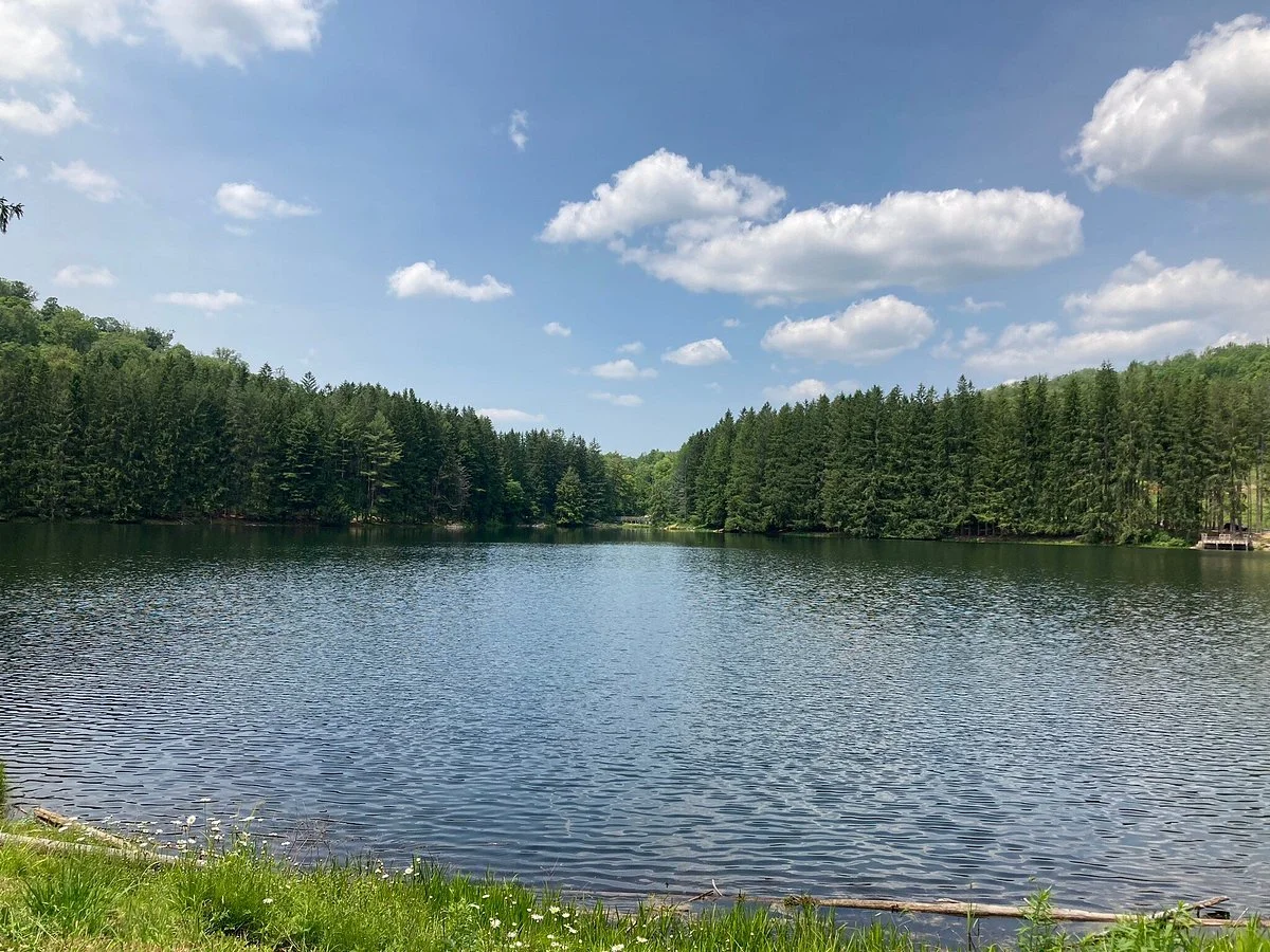 Marilla Bridges Trail