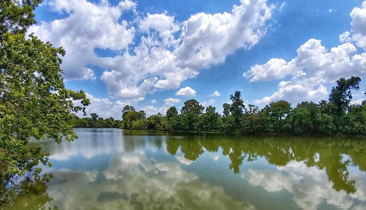 Kickerillo-Mischer Preserve