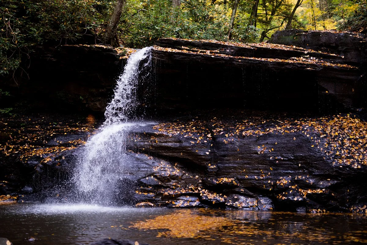 Holly River State Park