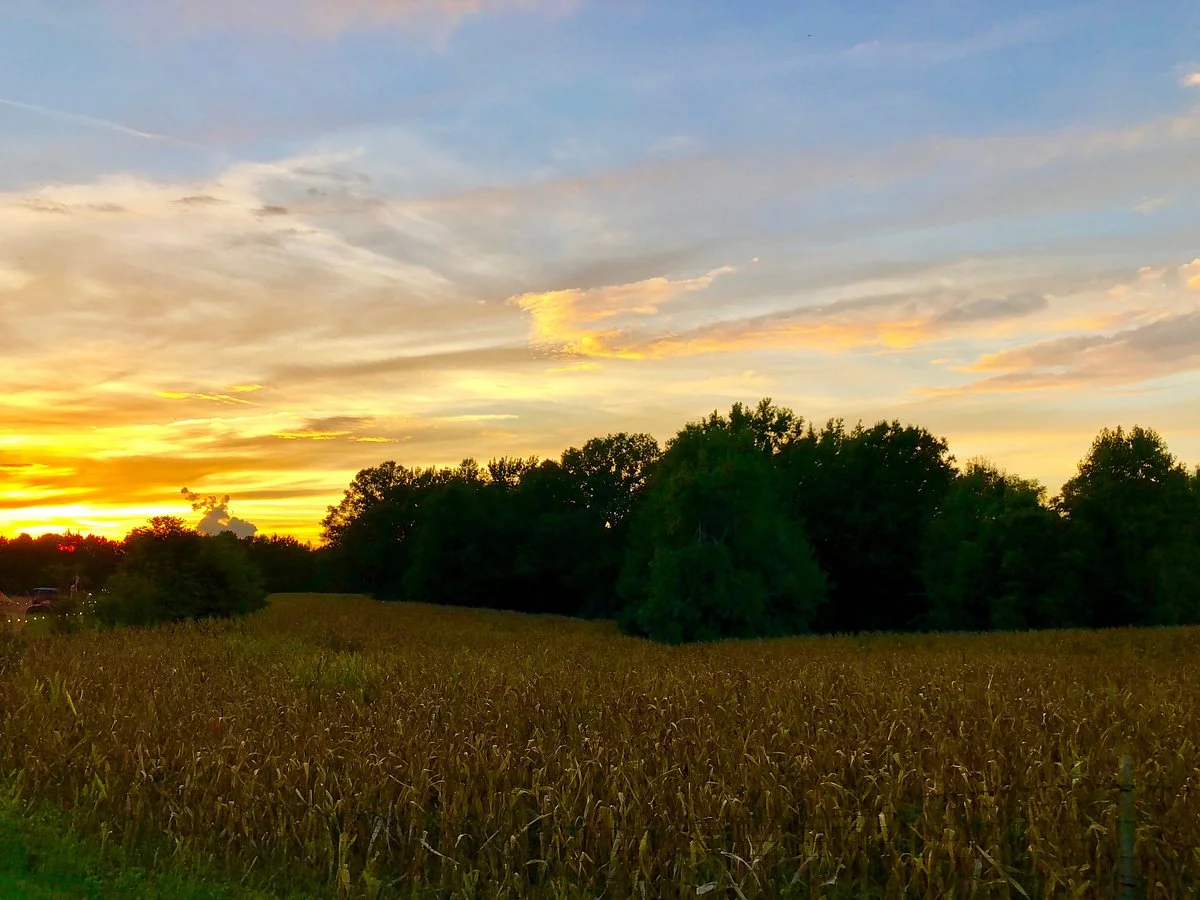 Hall Family Farm