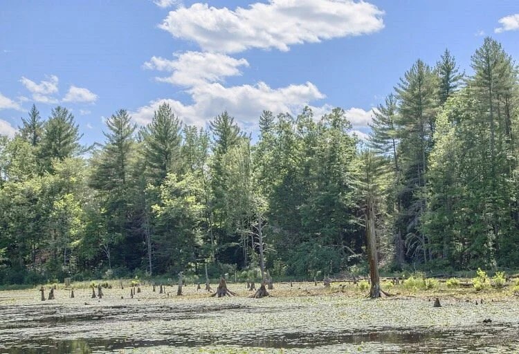 Beaver Brook Reservation