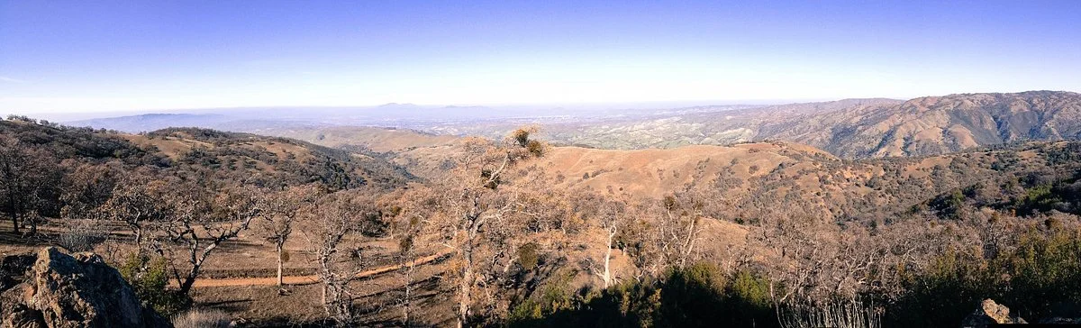 Ohlone Wilderness Trail
