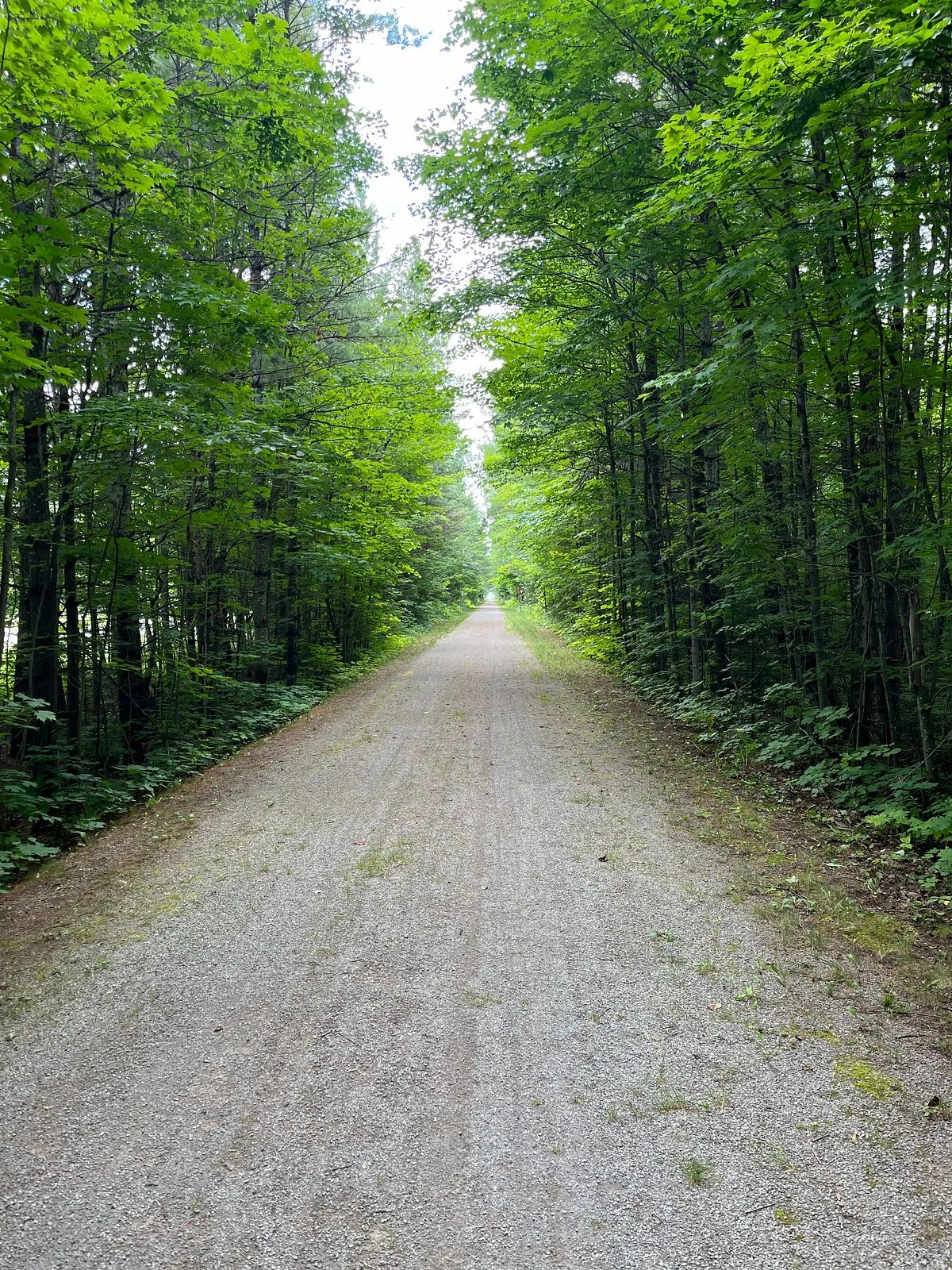 North Western State Trail