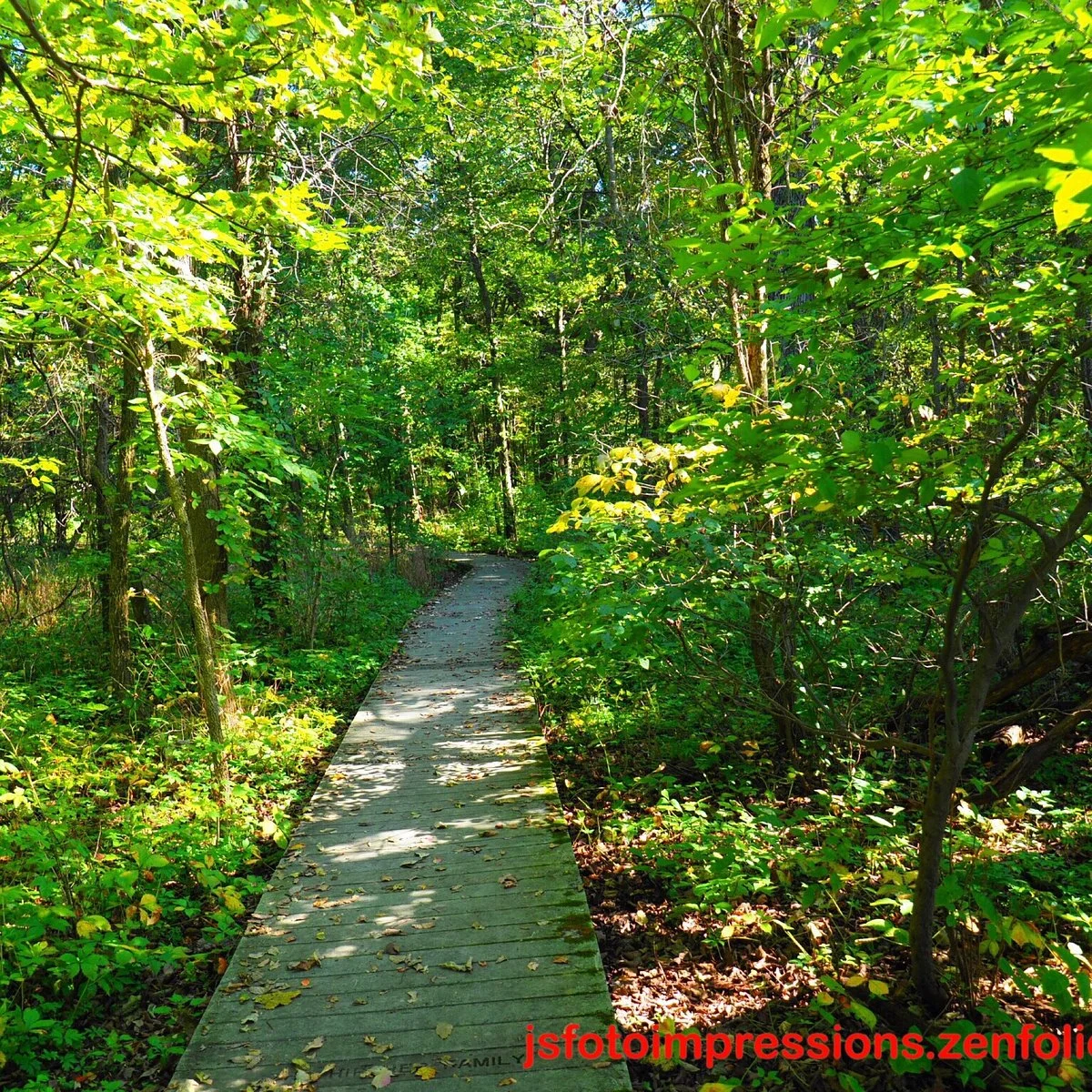 Lawrence Woods State Nature Preserve