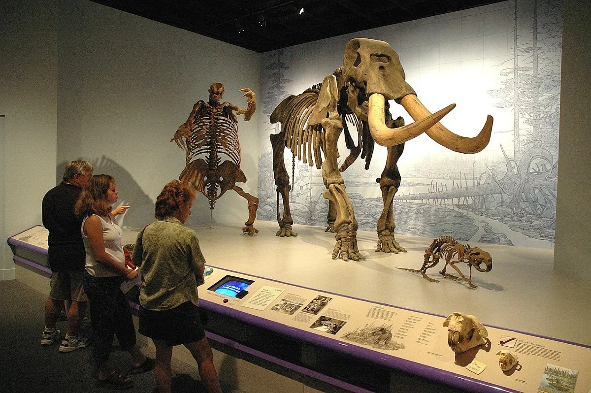 Illinois State Museum
