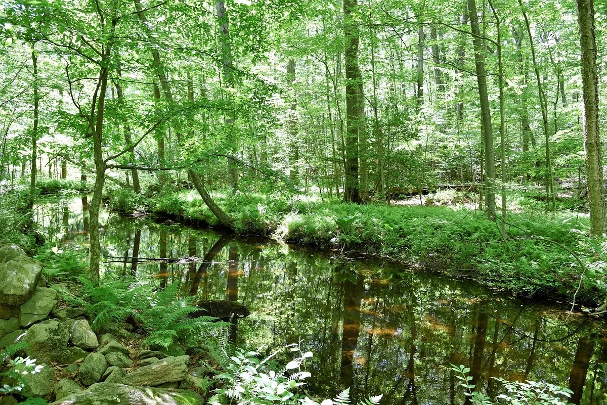 Babcock Preserve