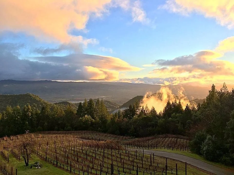 Lagier Meredith Vineyard