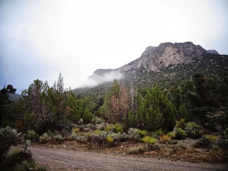 Great Basin