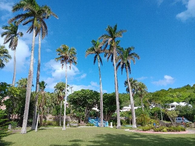 Somers Garden