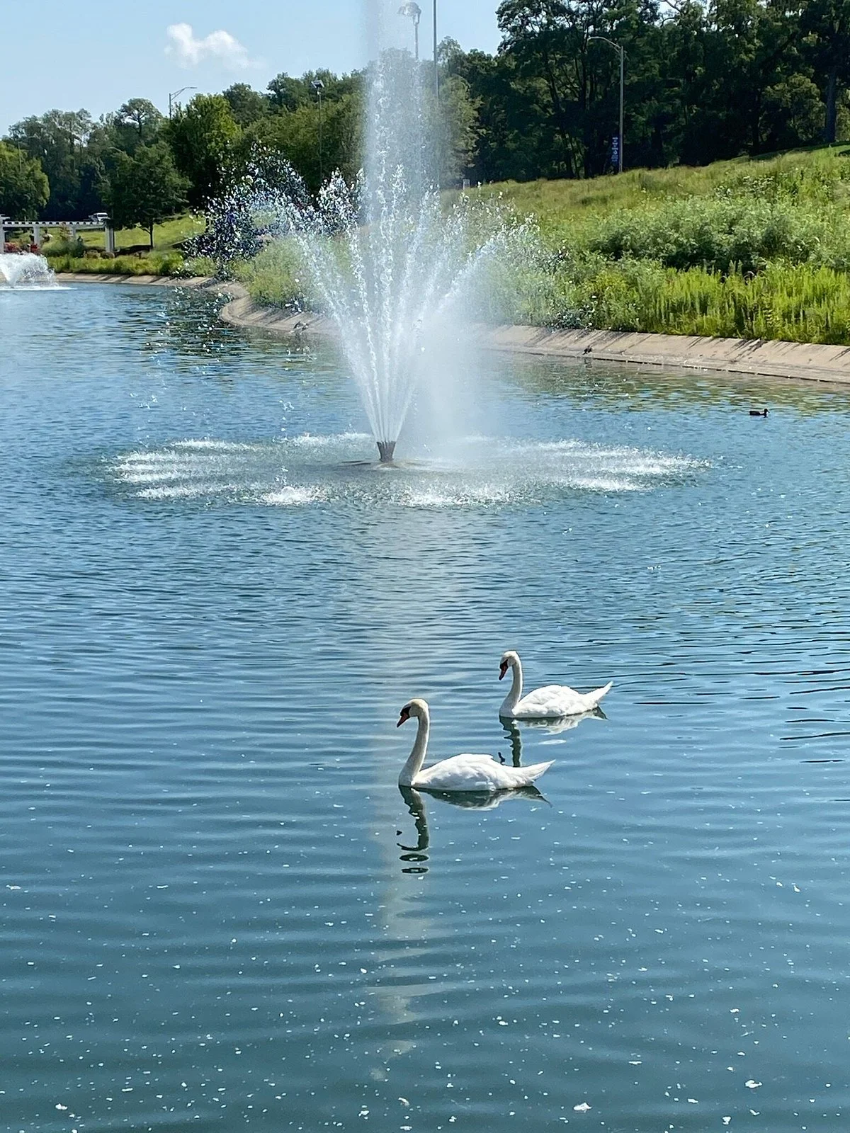 Sinnissippi Park