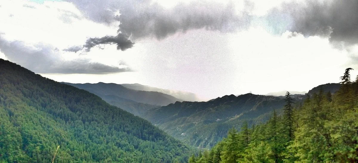 Shimla Water Catchment Wildlife Sanctuary