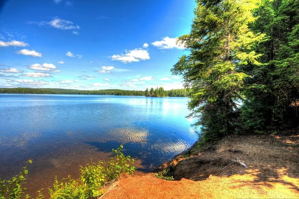 Canisbay Lake Day Use Area