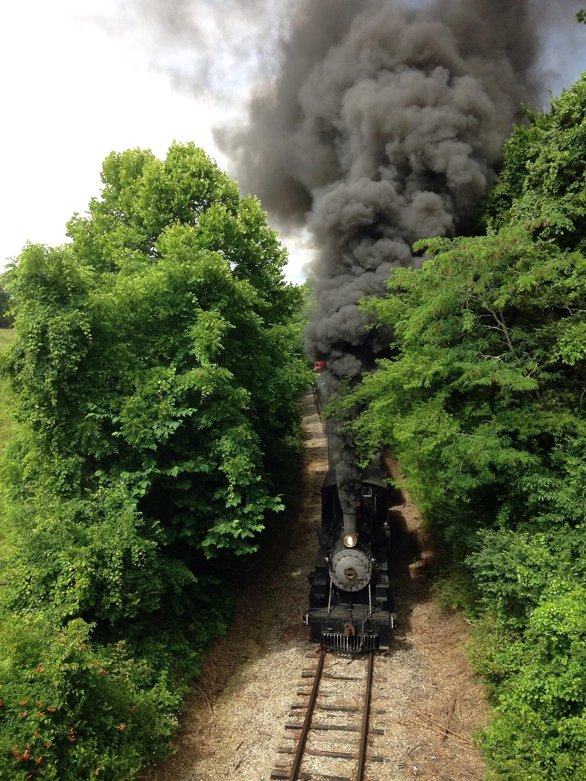 Three Rivers Rambler