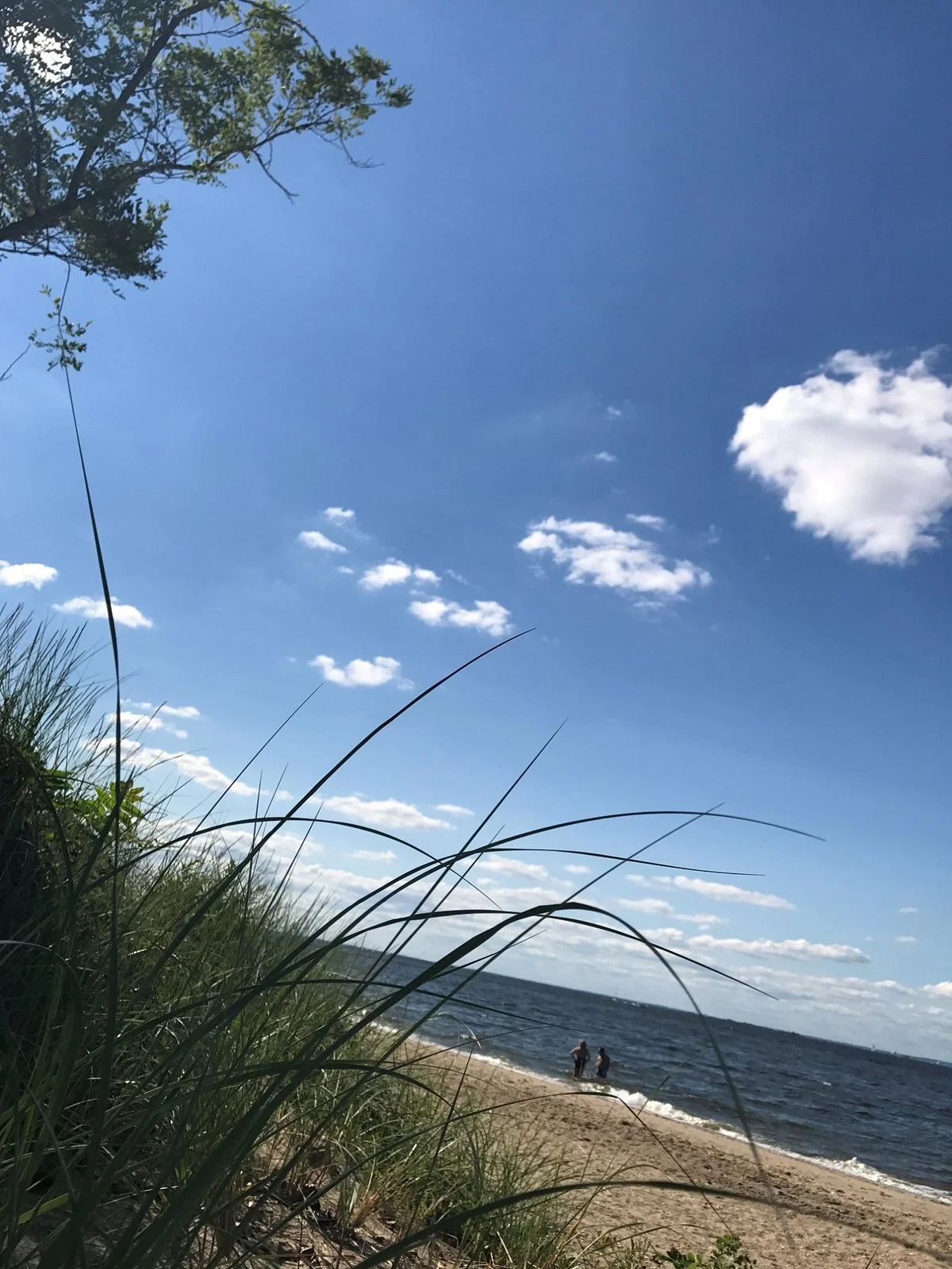 Henry Hudson Trail