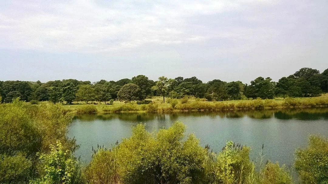 Cox Hall Creek Wildlife Management Area