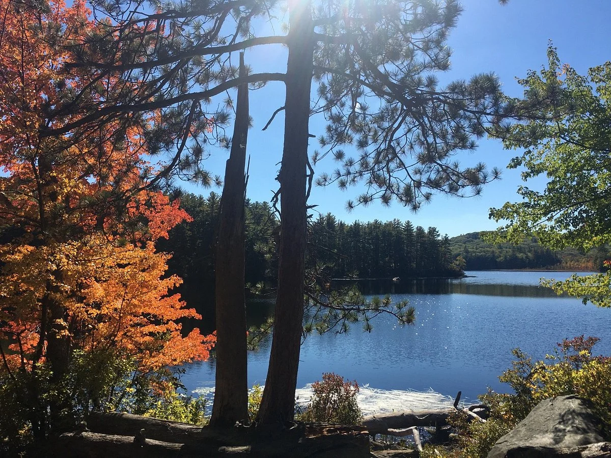 Bear Brook State Park