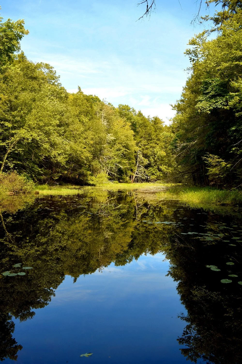 Mine Hill Preserve