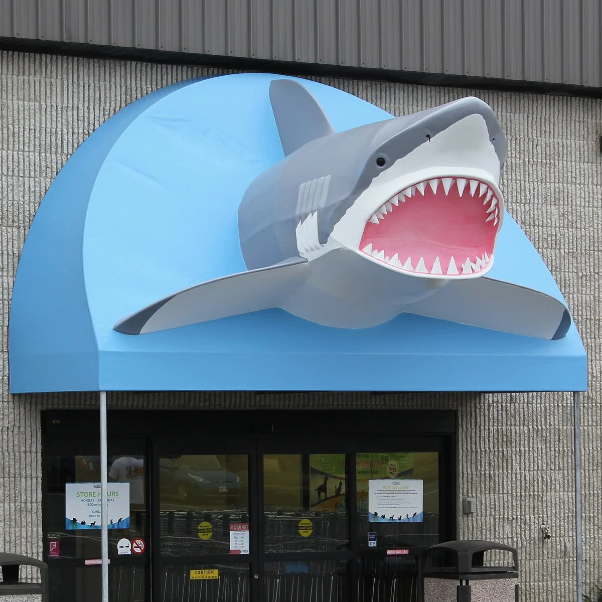 That Fish Place - That Pet Place