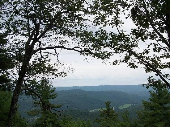 Townshend State Park