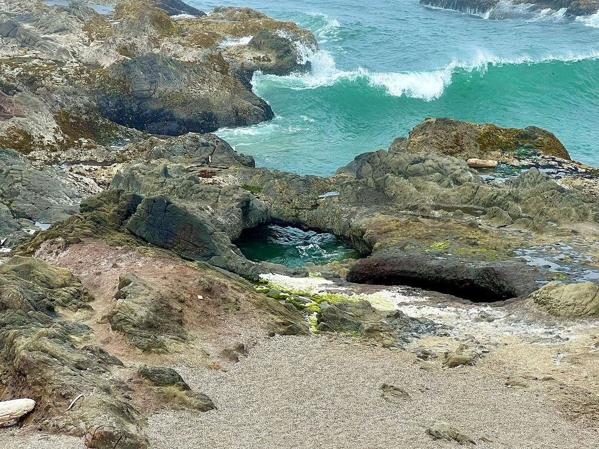 Yachats State Park