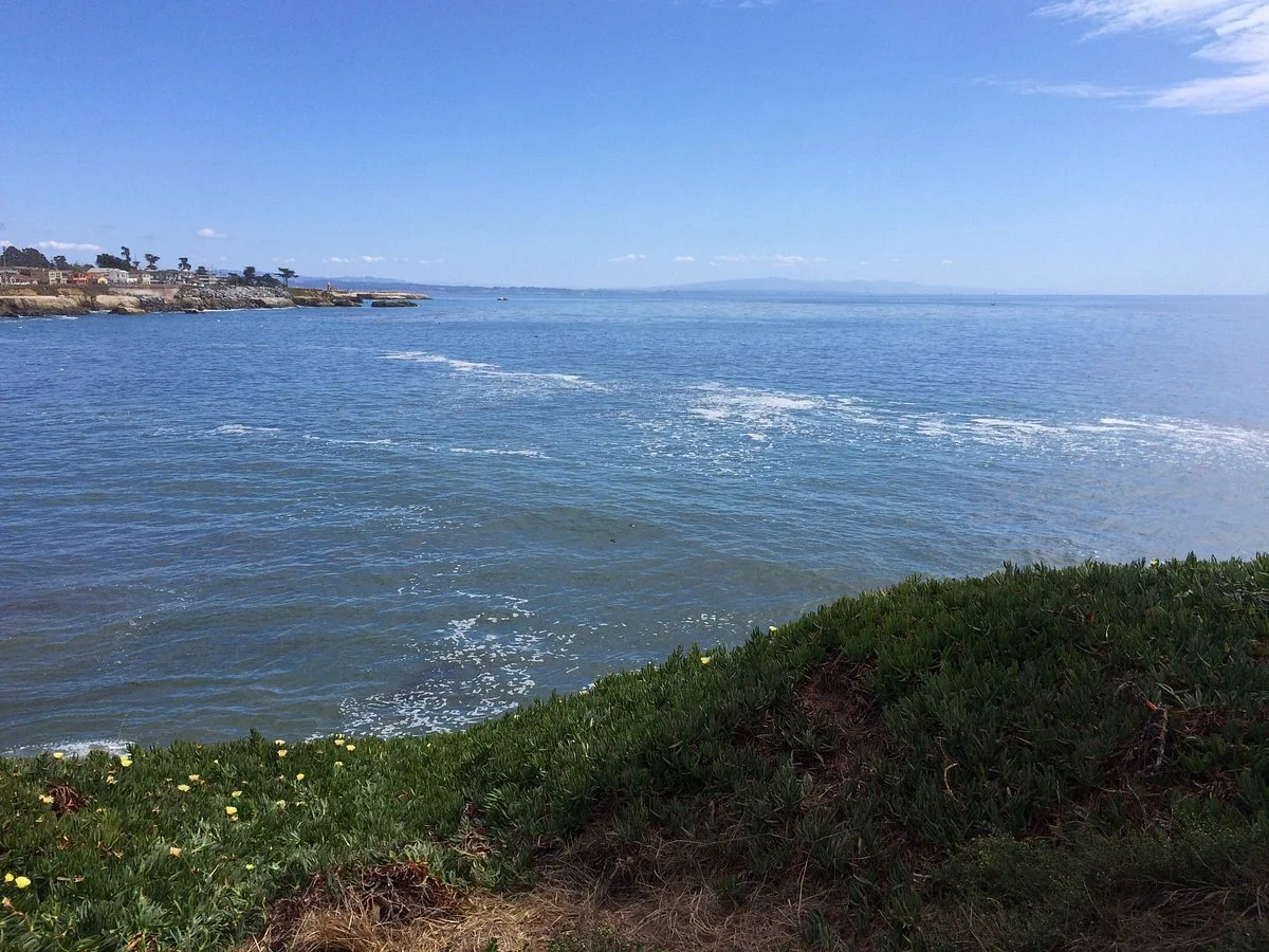Mitchell's Cove Beach