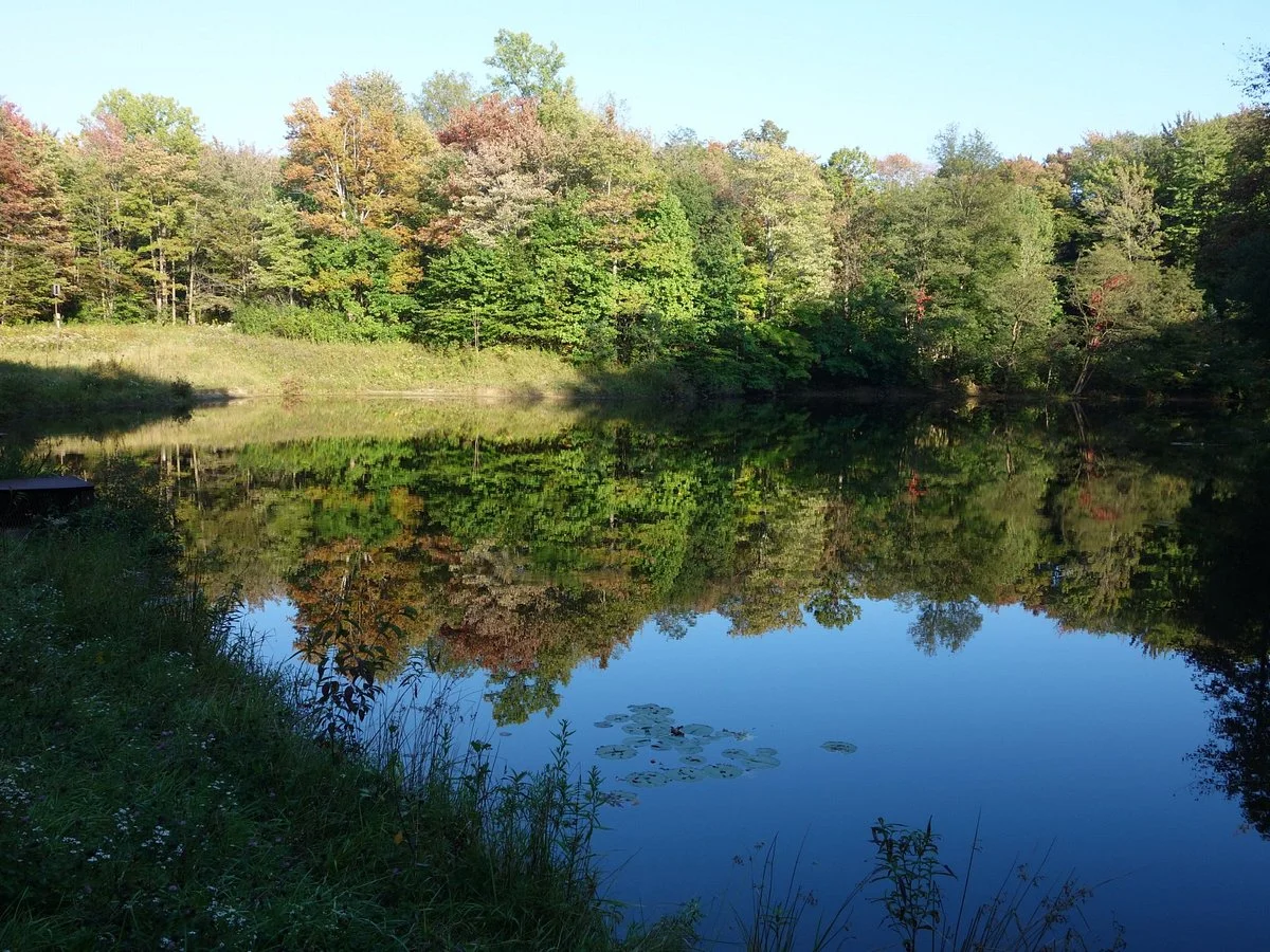 Big Creek Park