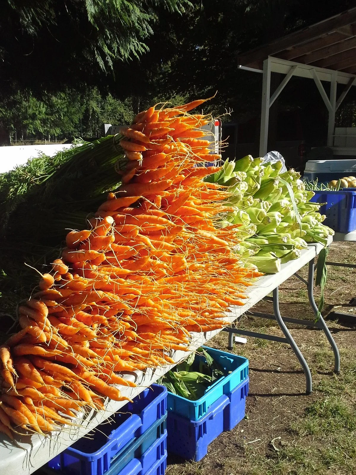 Powell River Farmers' Market