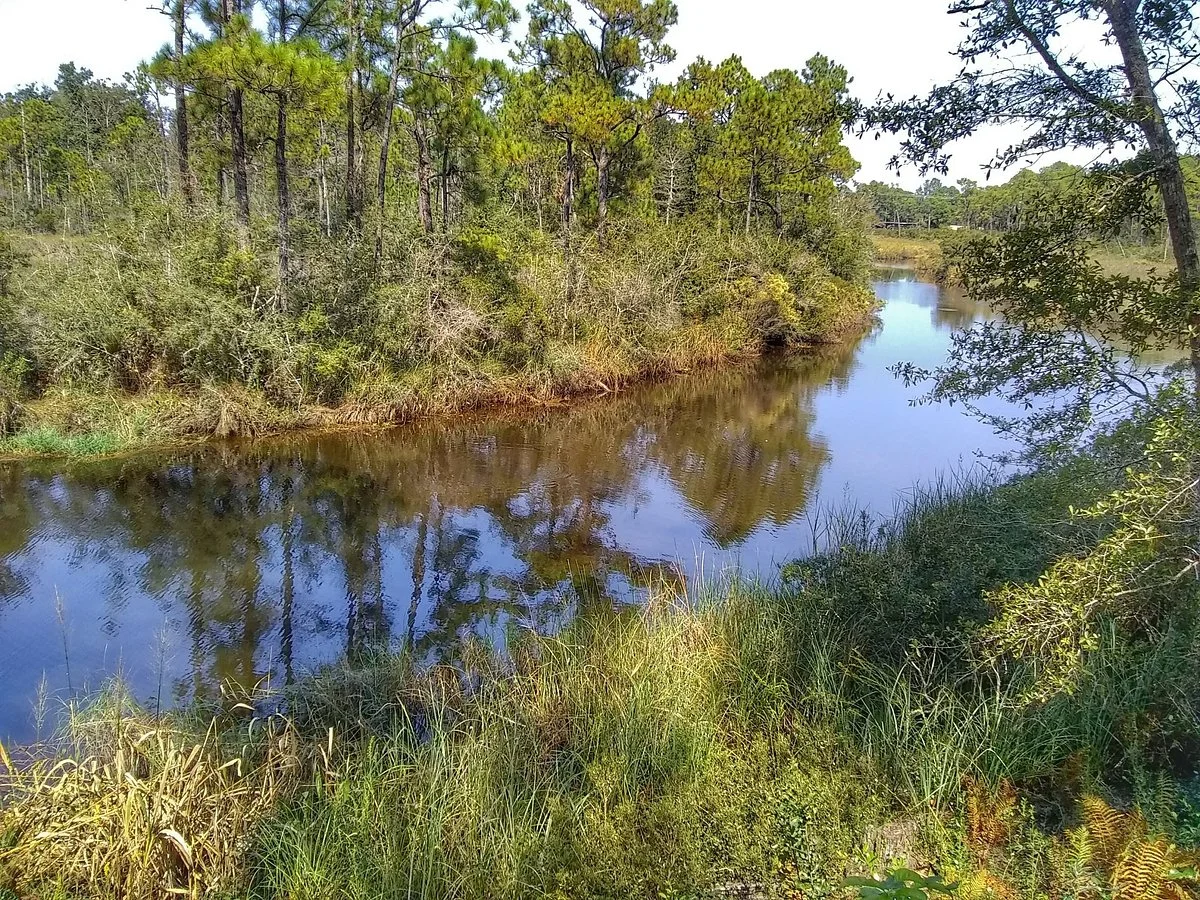 Fontainebleau Nature Trail
