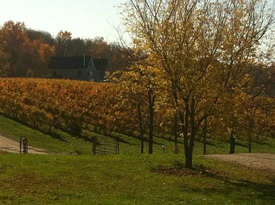 Niagara Wine Trail USA