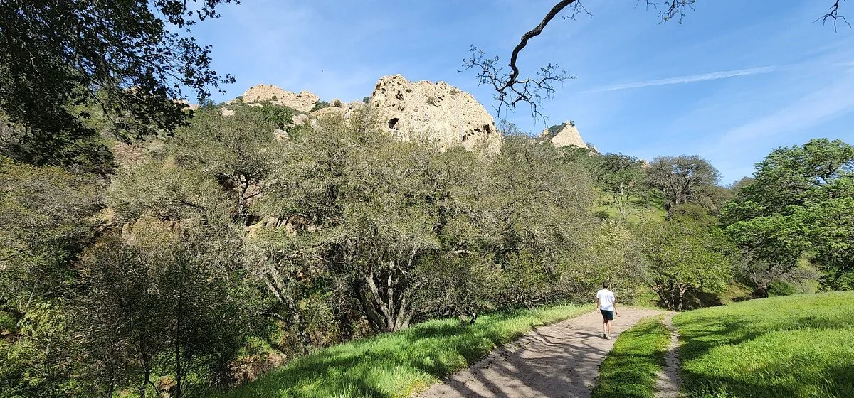 Diablo Foothills Regional Park