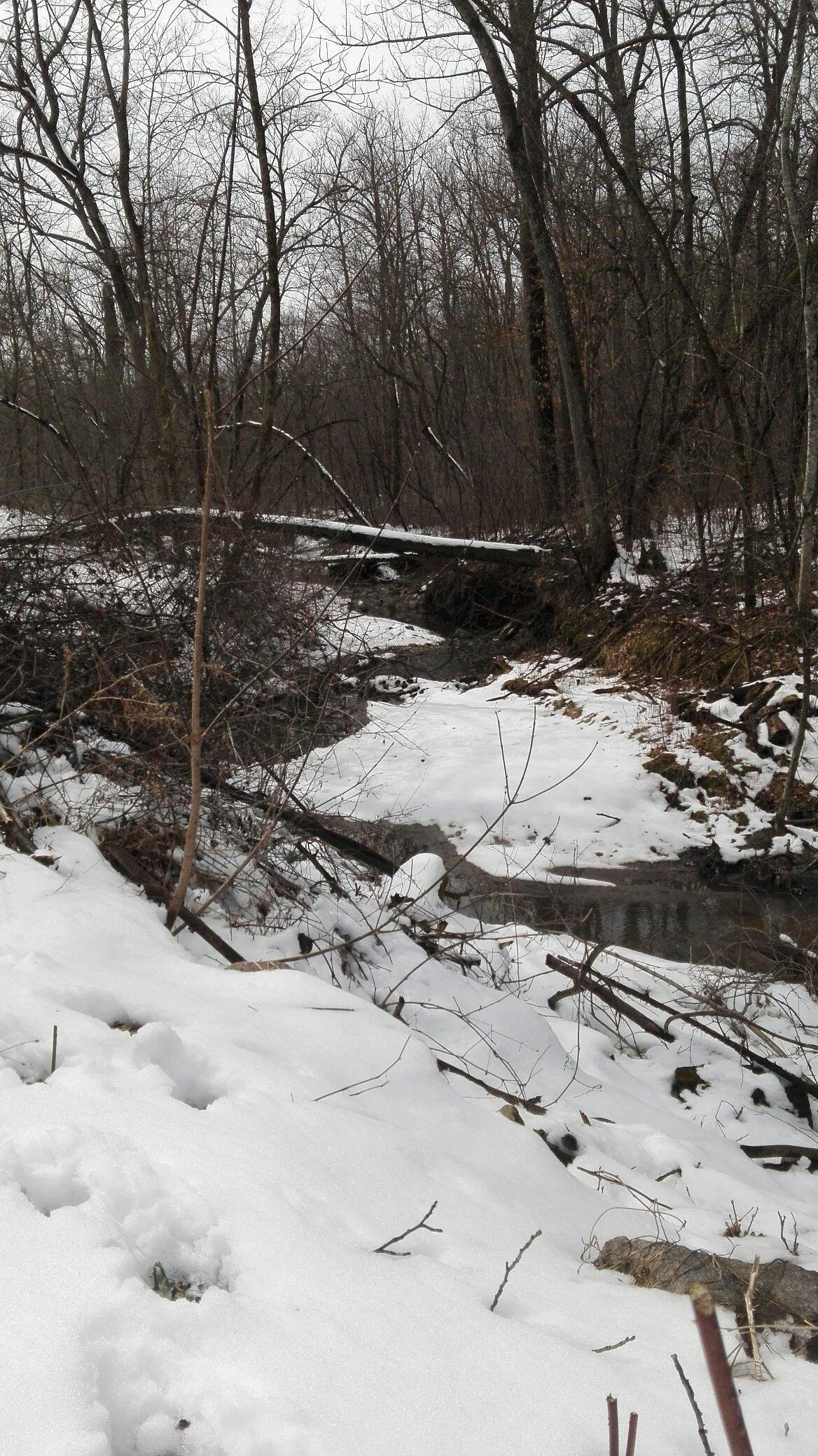 Kaplan's Woods Parkway