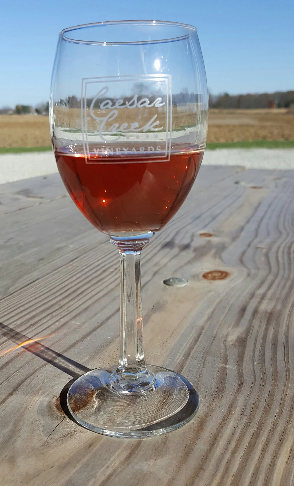 Caesar Creek Vineyards